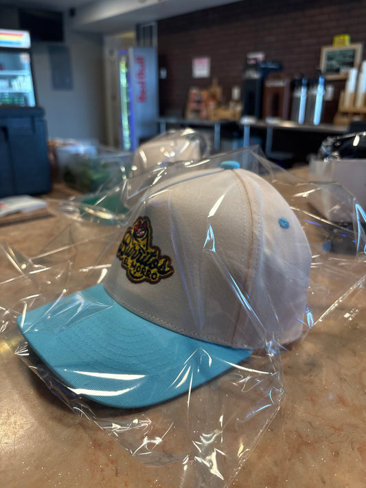 Baseball snapback hat